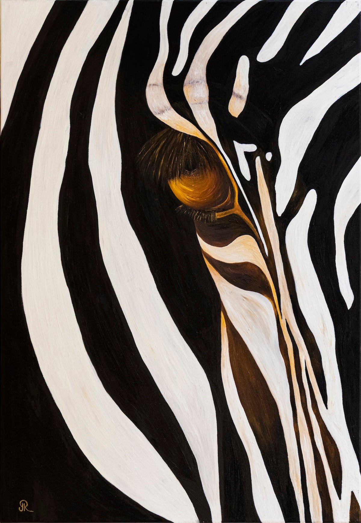 Quiet Stare | Wildlife Conservation Art by Josie Ryan