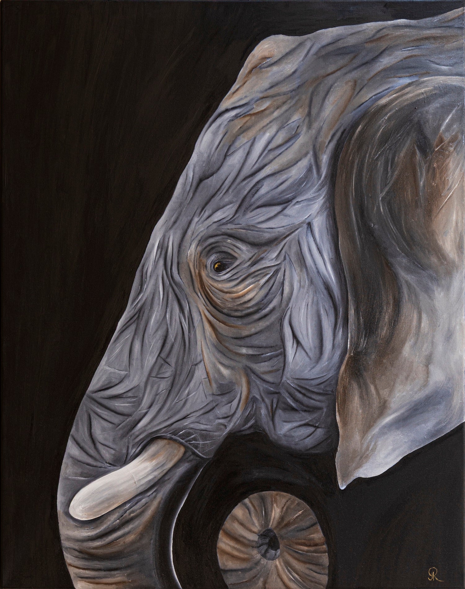 Old Soul | Wildlife Conservation Art by Josie Ryan