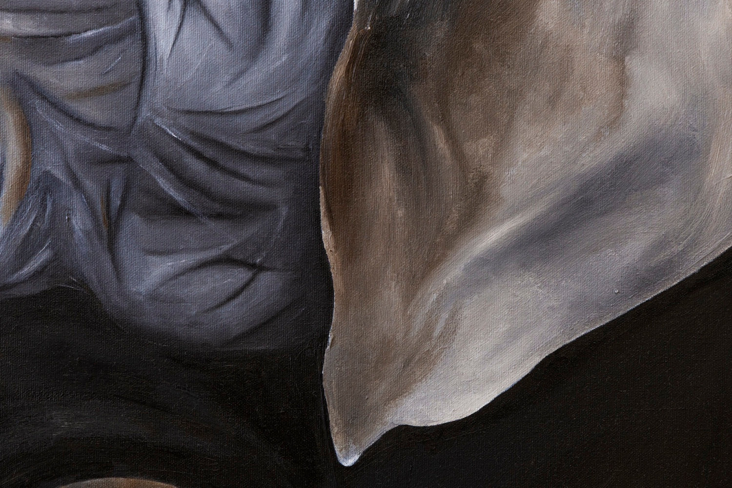 Old Soul | Wildlife Conservation Art by Josie Ryan
