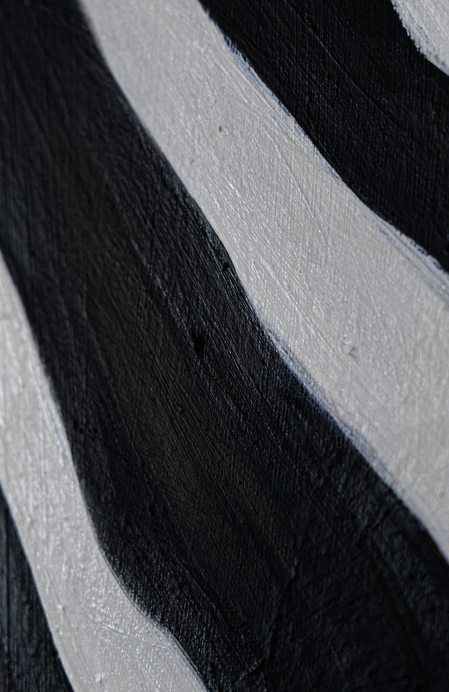 Zebra’s Gaze | Wildlife Conservation Art by Josie Ryan