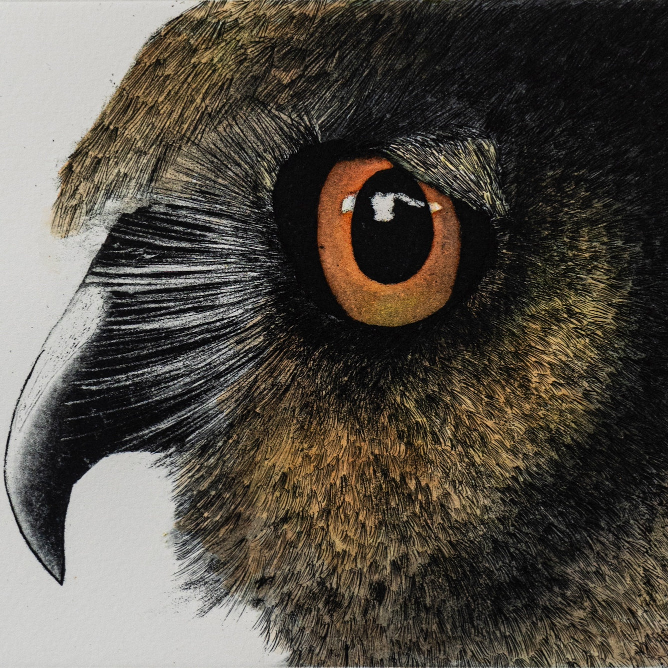 Night Vigil | Wildlife Conservation Art by Josie Ryan