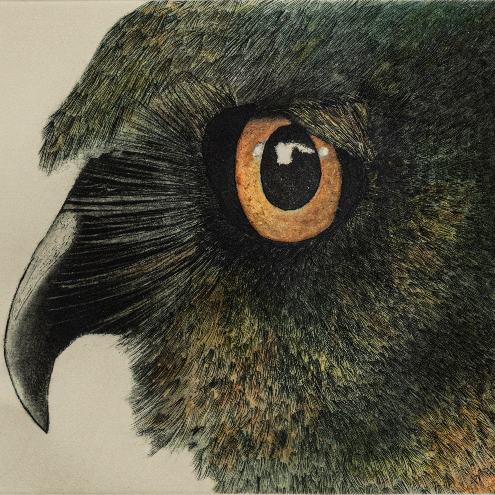 Close-up of owl head artwork by Josie Ryan | Wildlife Art with Conservation Focus