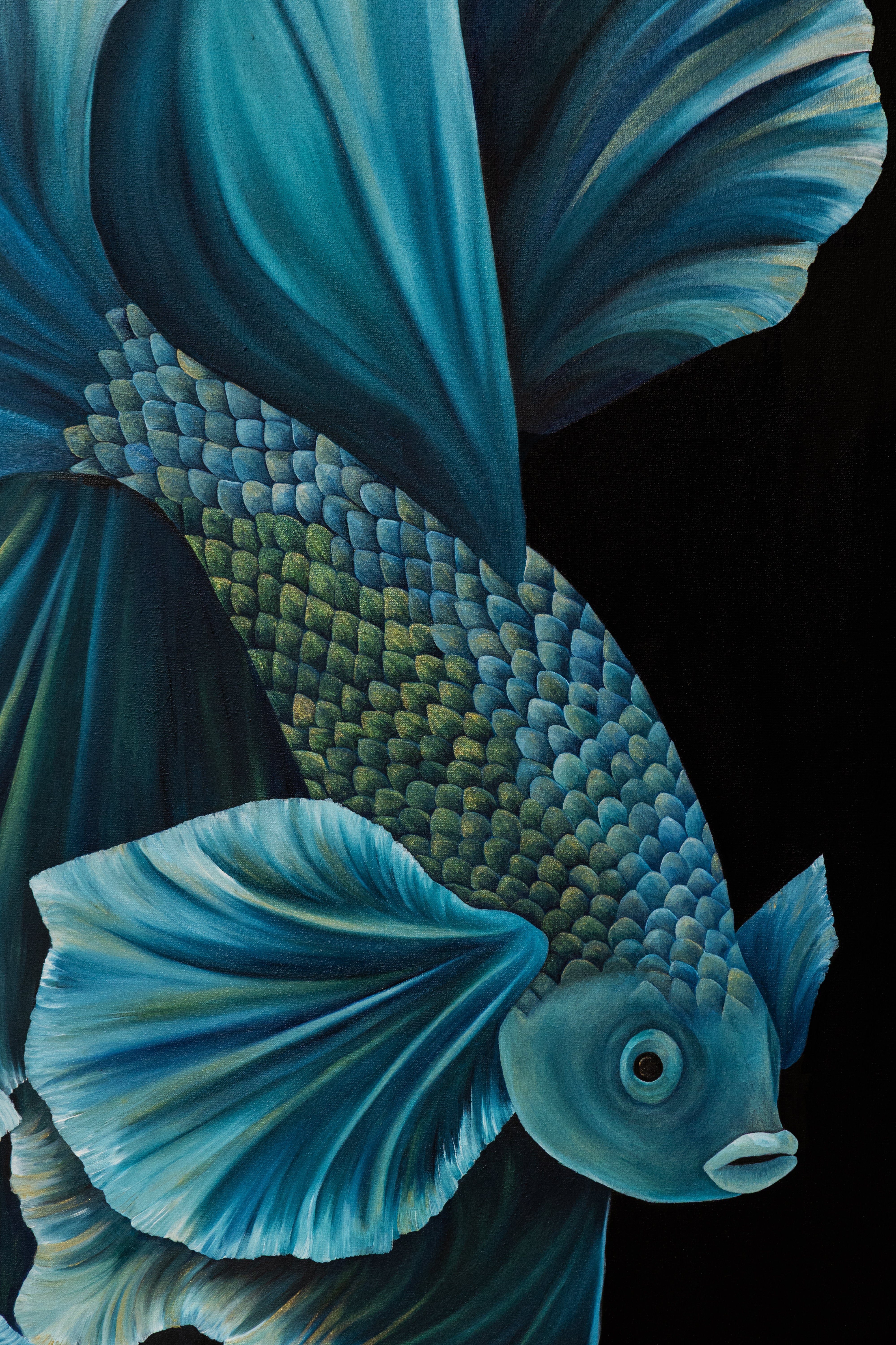 Velvet Regent | Wildlife Conservation Art by Josie Ryan