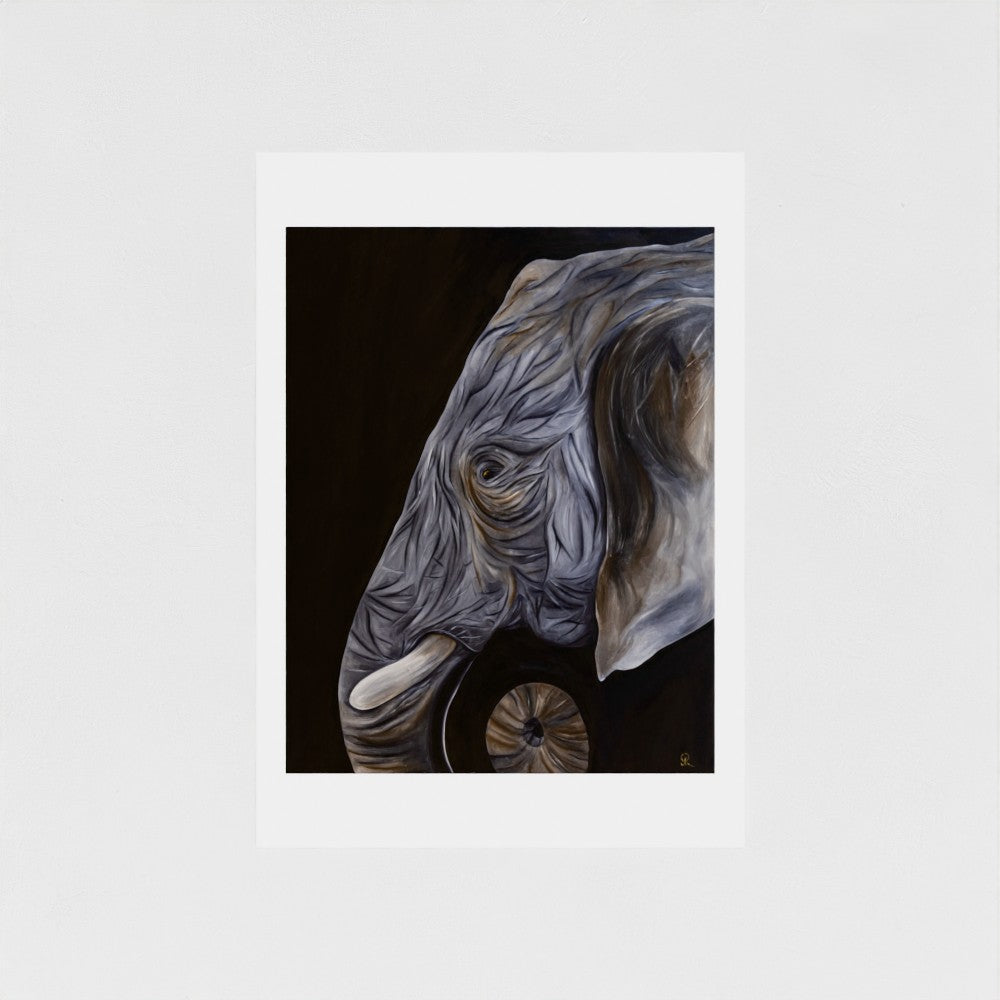 Old Soul | Fine Art Print | Wildlife Conservation Art by Josie Ryan
