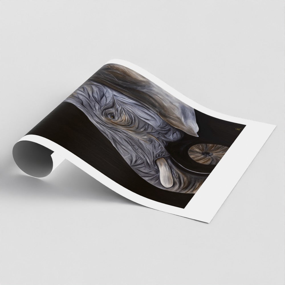 Old Soul | Fine Art Print | Wildlife Conservation Art by Josie Ryan