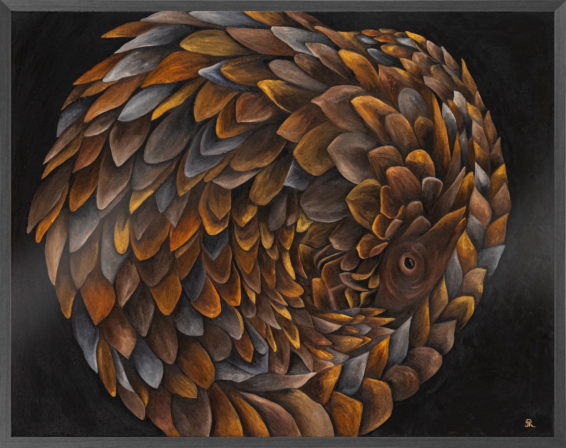 Framed Test Prints (Discounted) | Wildlife Conservation Art by Josie Ryan