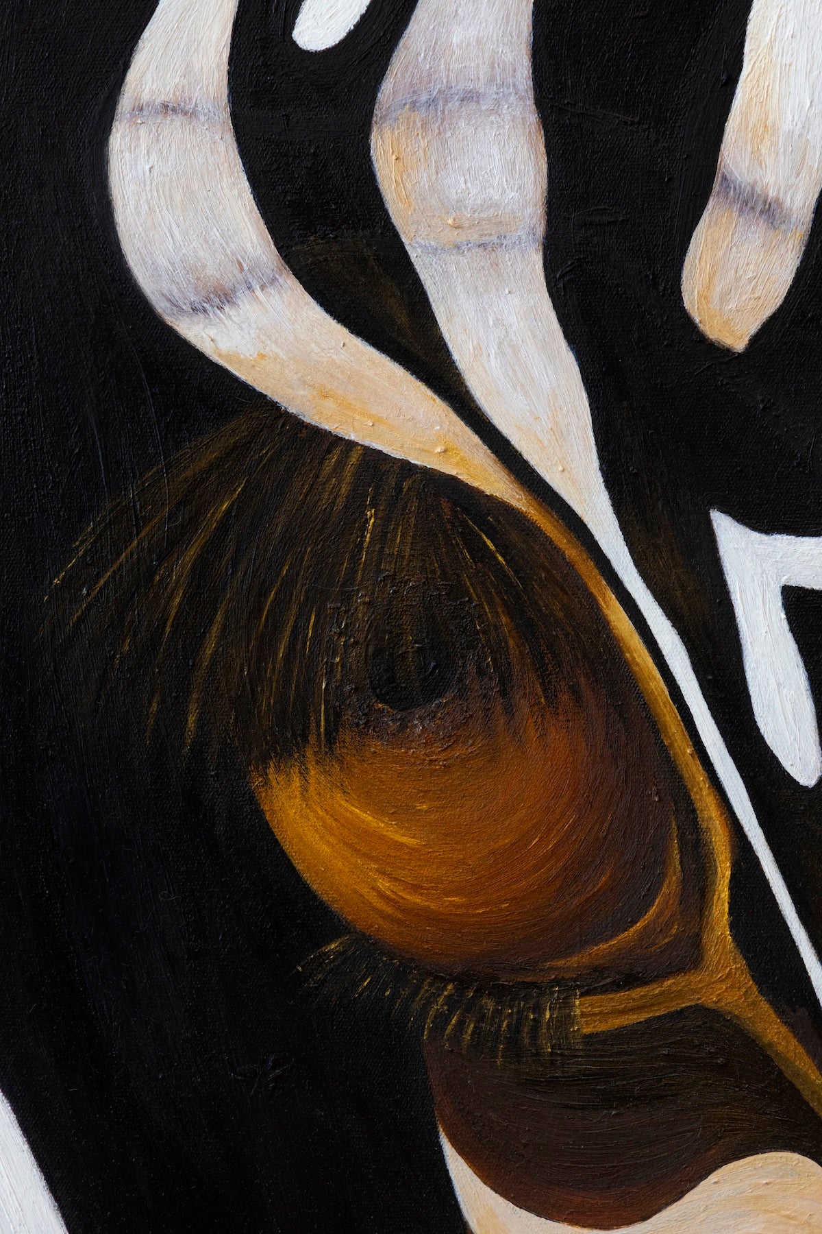 Quiet Stare | Wildlife Conservation Art by Josie Ryan
