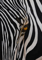 Zebra’s Gaze | Wildlife Conservation Art by Josie Ryan