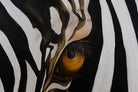 Zebra’s Gaze | Wildlife Conservation Art by Josie Ryan