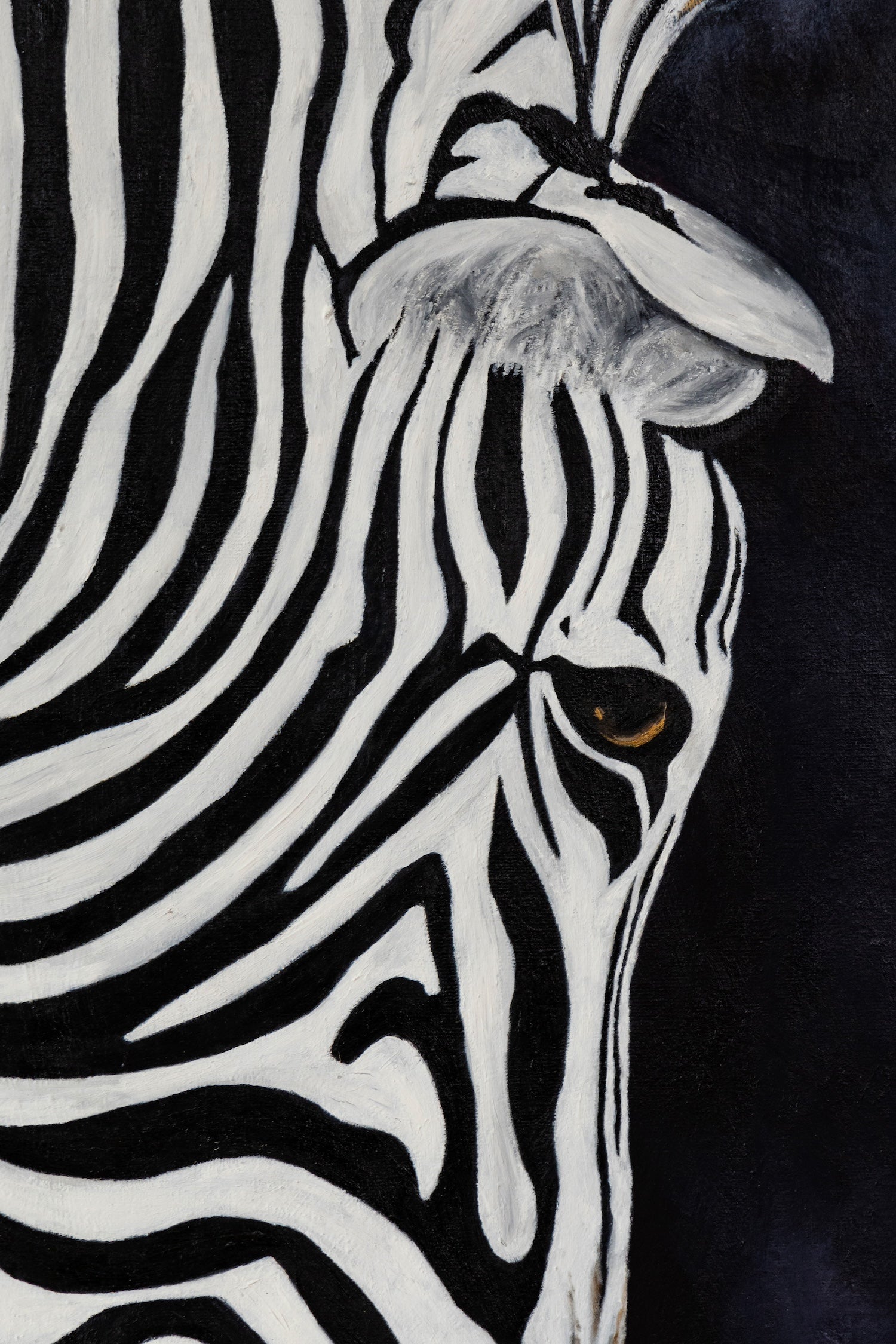 Shadowplay | Wildlife Conservation Art by Josie Ryan