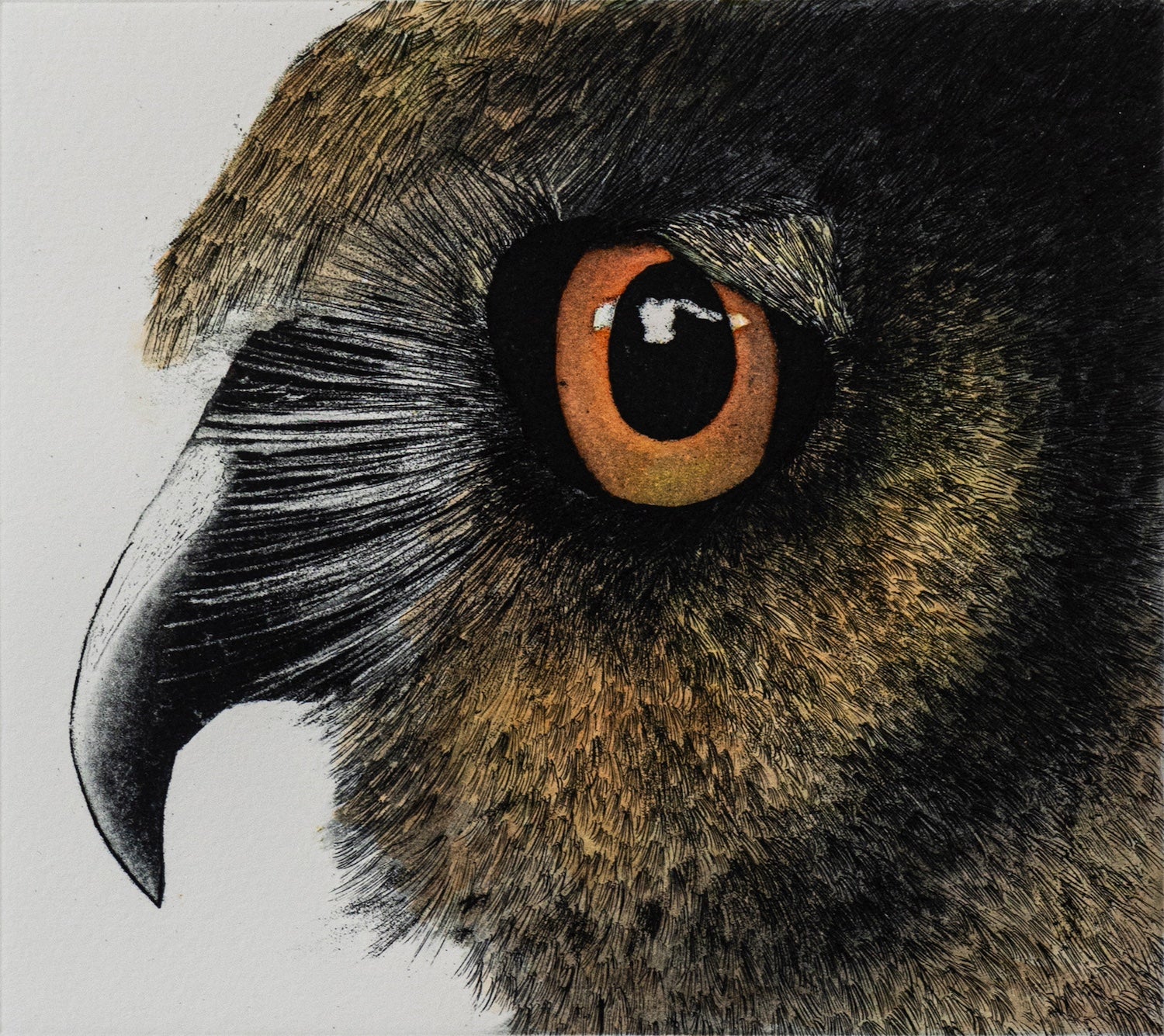 Night Vigil | Wildlife Conservation Art by Josie Ryan