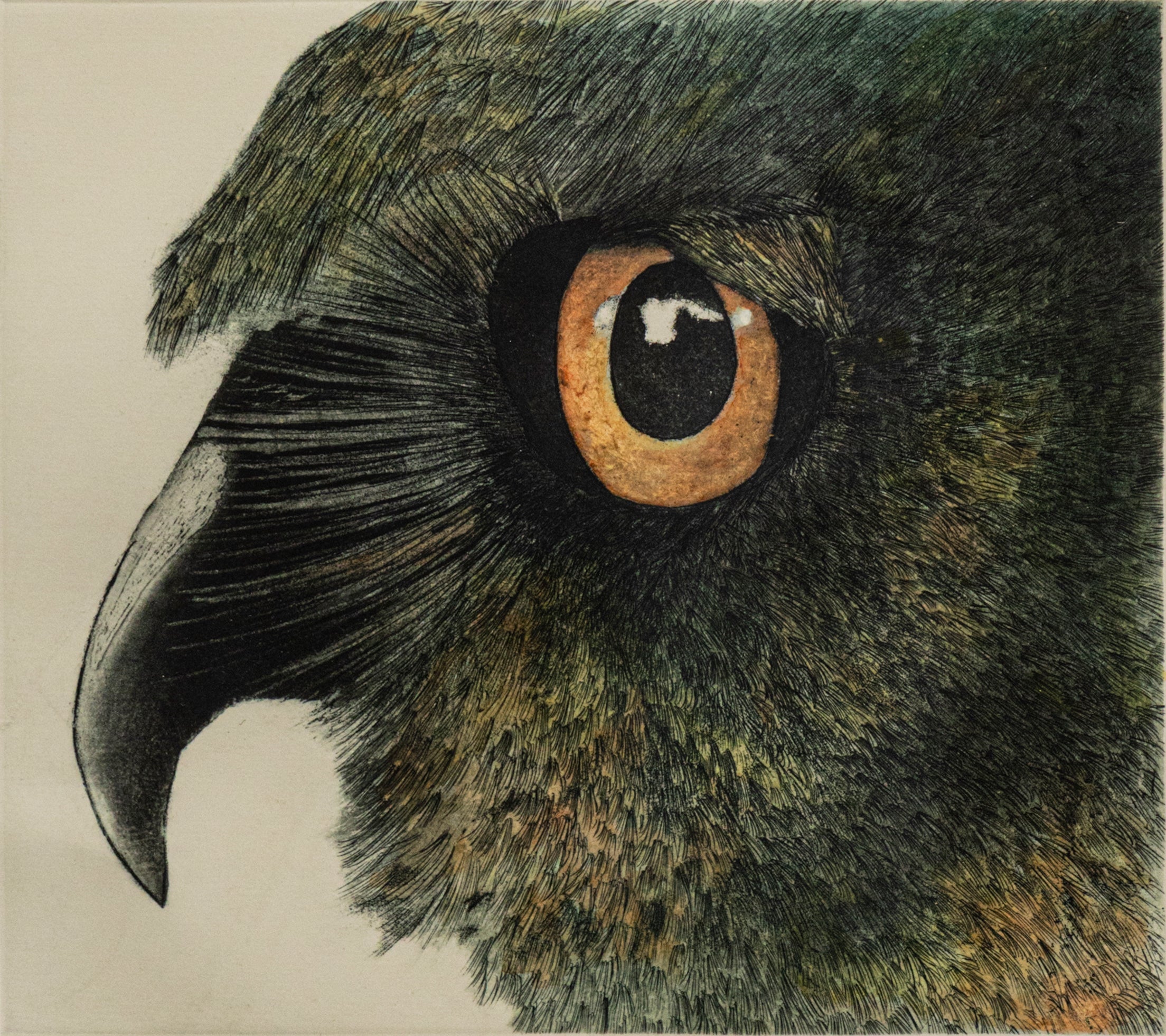 Close-up of owl head artwork by Josie Ryan | Wildlife Art with Conservation Focus