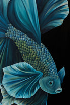 Velvet Regent | Wildlife Conservation Art by Josie Ryan