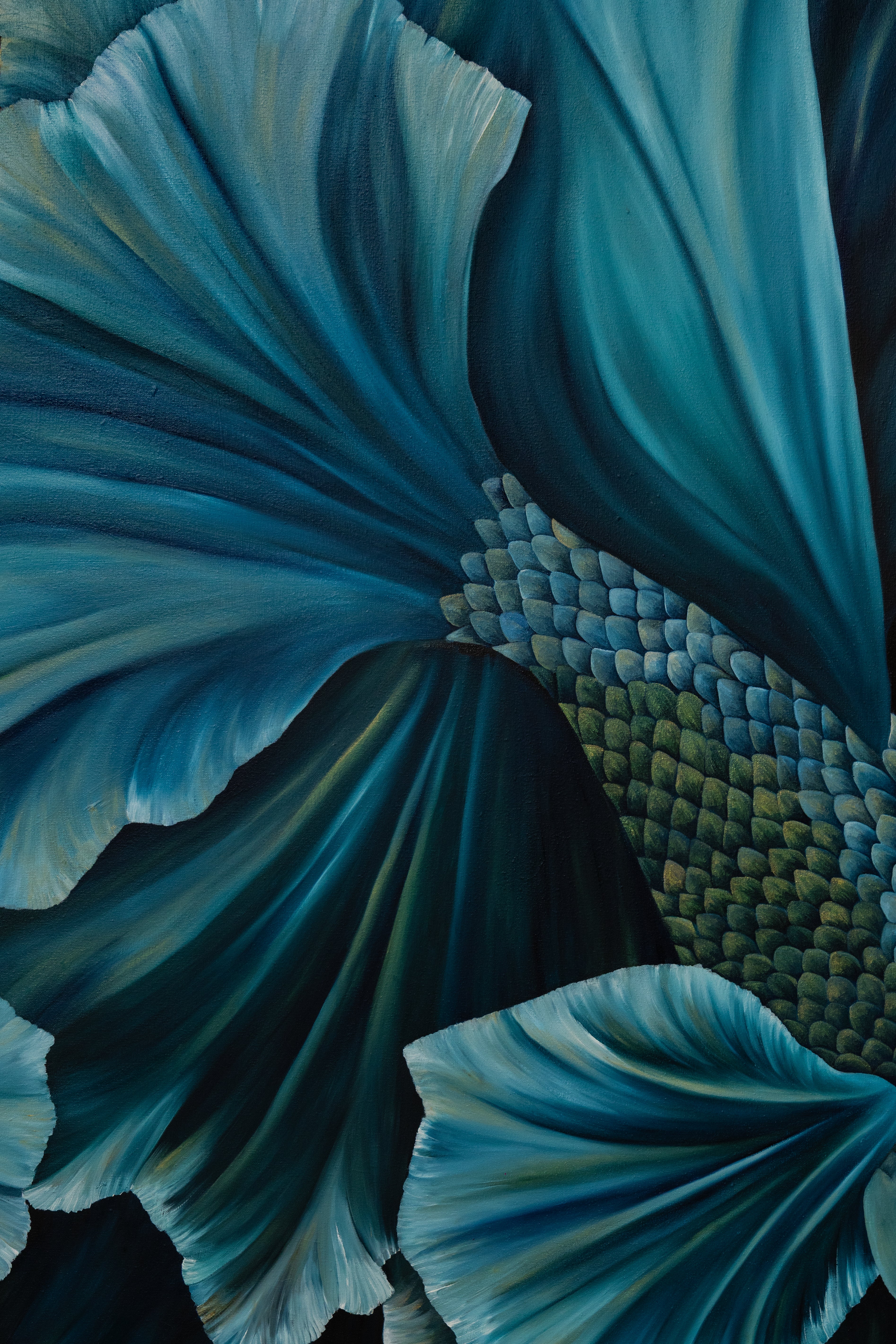 Velvet Regent | Wildlife Conservation Art by Josie Ryan