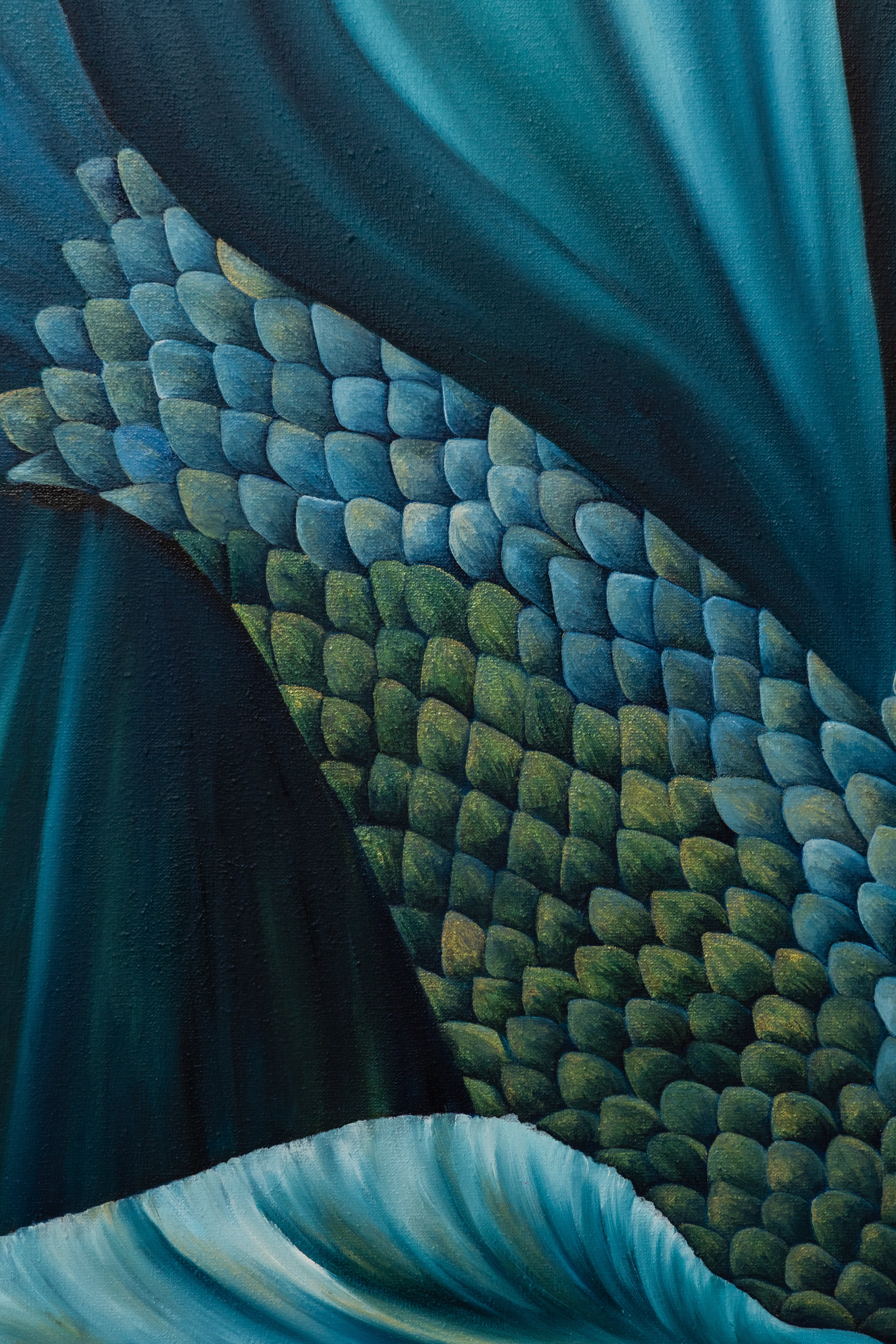 Velvet Regent | Wildlife Conservation Art by Josie Ryan