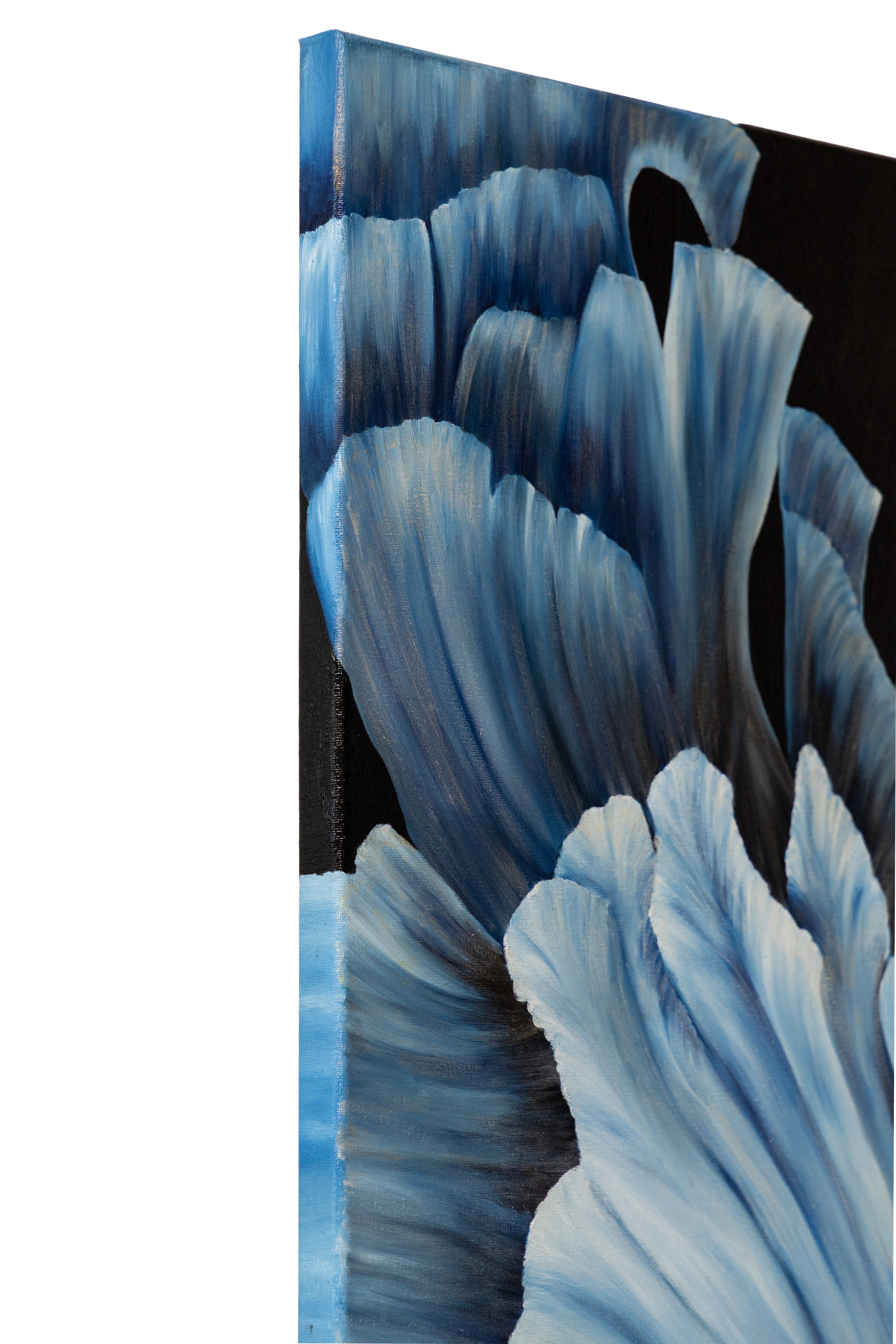 Beneath the Blue | Wildlife Conservation Art by Josie Ryan