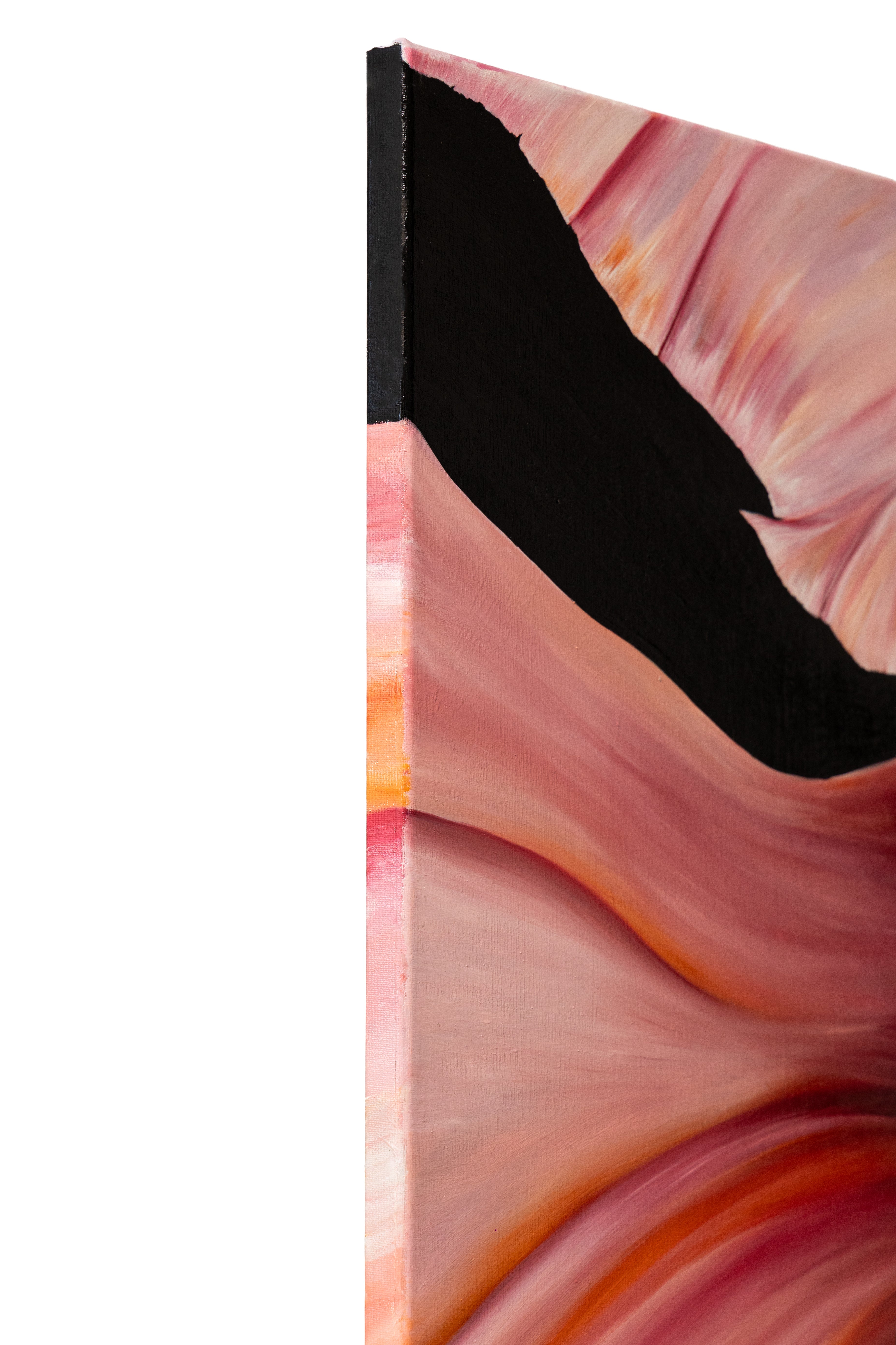 Aurora | Wildlife Conservation Art by Josie Ryan