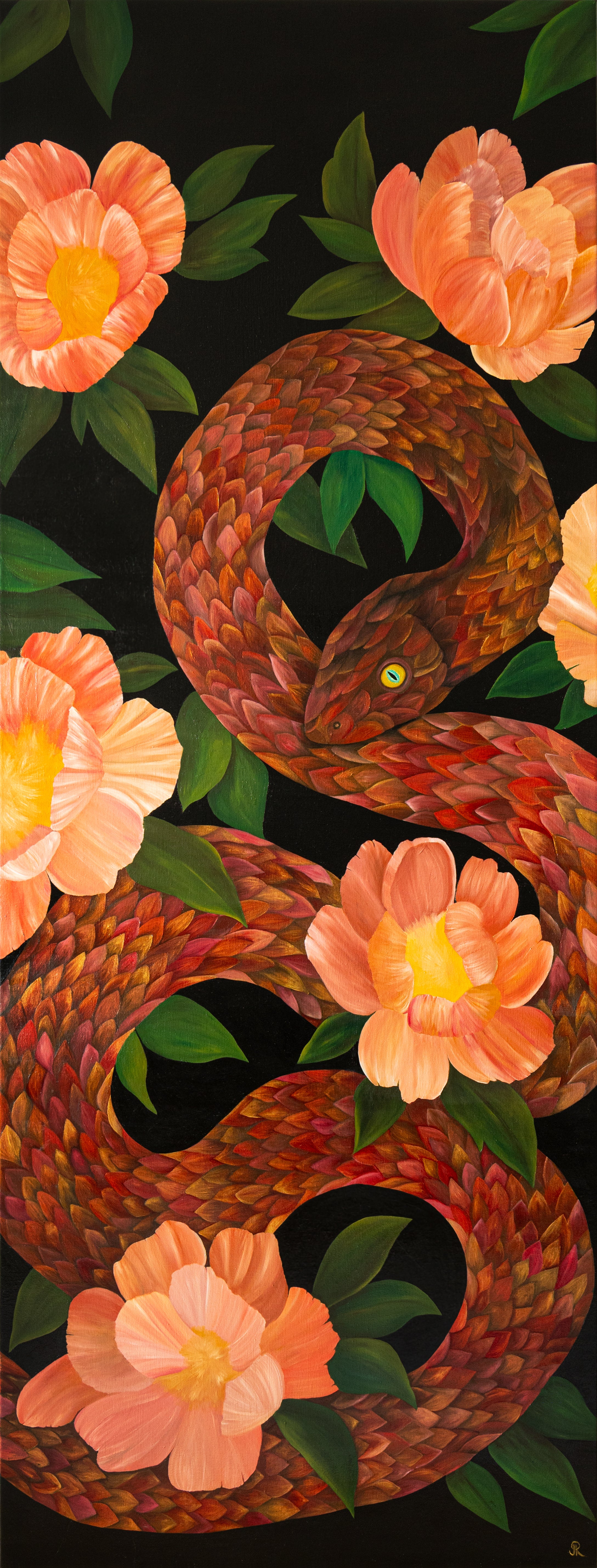 Ouroboros in Bloom | Wildlife Conservation Art by Josie Ryan