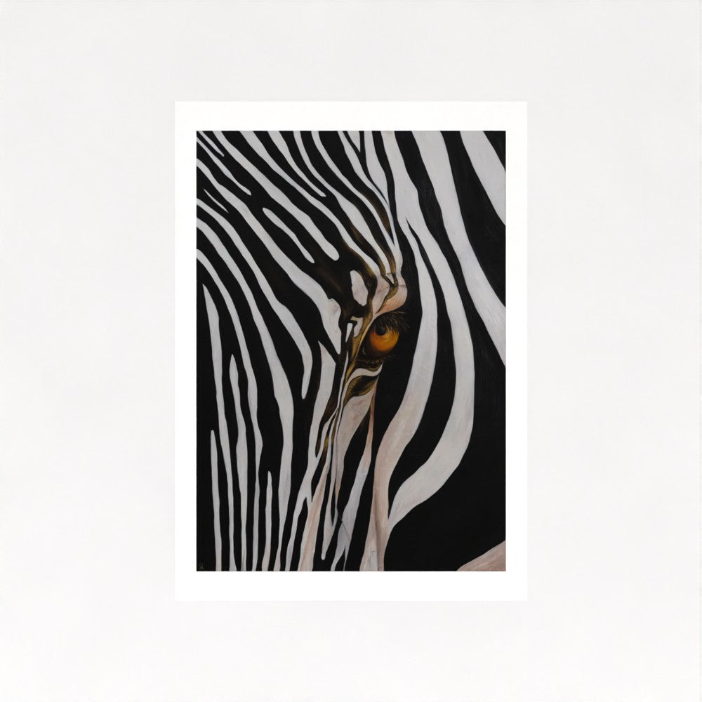 Zebra’s Gaze | Fine Art Print | Wildlife Conservation Art by Josie Ryan