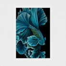 Velvet Regent — Limited Edition Fine Art Print | Wildlife Conservation Art by Josie Ryan