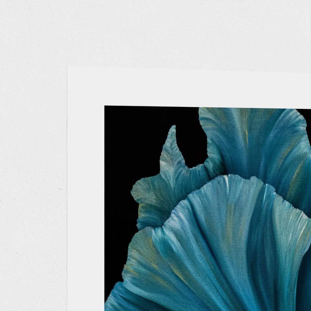 Velvet Regent — Limited Edition Fine Art Print | Wildlife Conservation Art by Josie Ryan