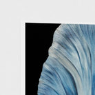 Beneath the Blue — Limited Edition Fine Art Print | Wildlife Conservation Art by Josie Ryan